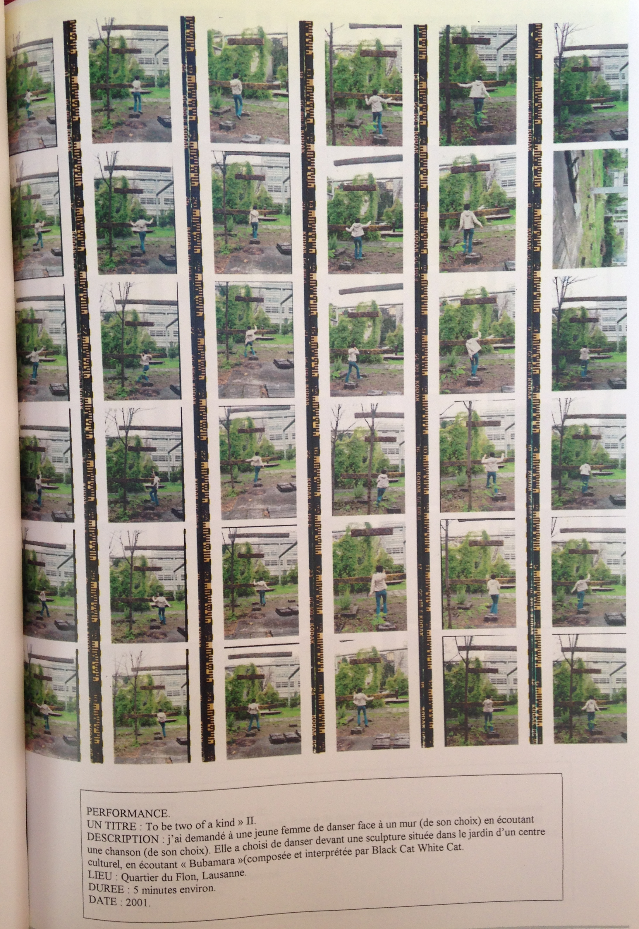 To be two of a kind II